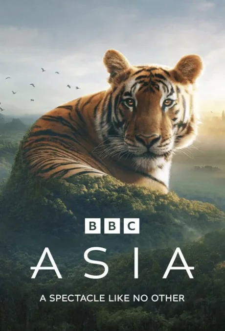 Азия (сериал 2024)