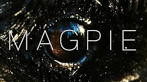 Барахольщик (2014)