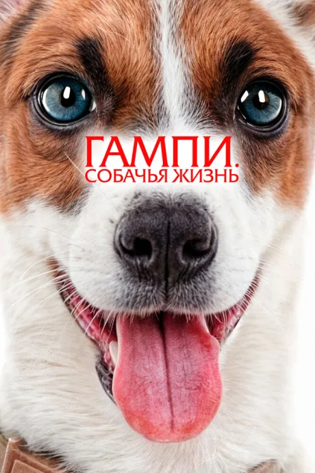 Гампи. Собачья жизнь (2024)