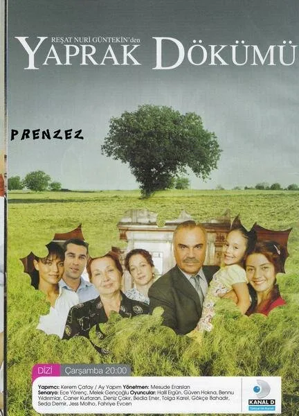 Листопад (сериал 2006)