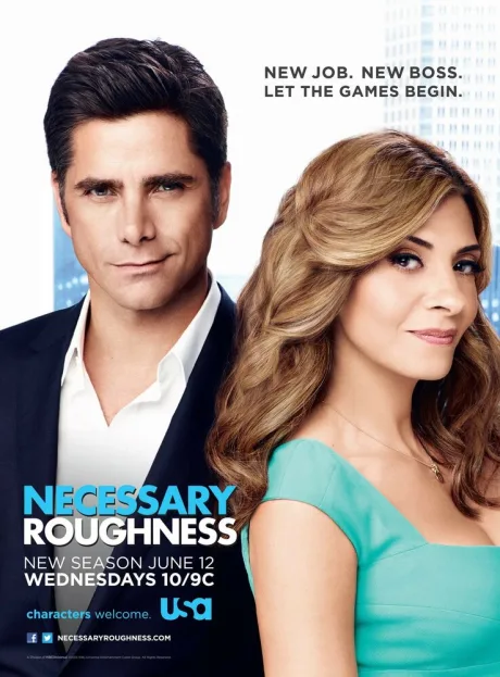 Необходимая жестокость (сериал 2011)
