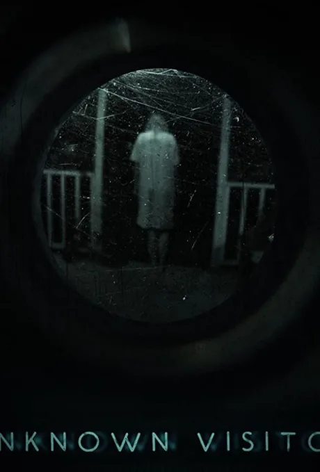 Незнакомый гость (2019)