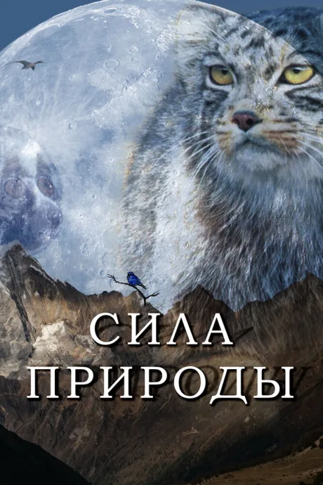 Сила природы (сериал 2020)